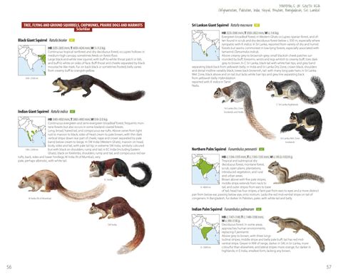 Review: Mammals of South Asia: India, Pakistan, Afghanistan, Bangladesh ...