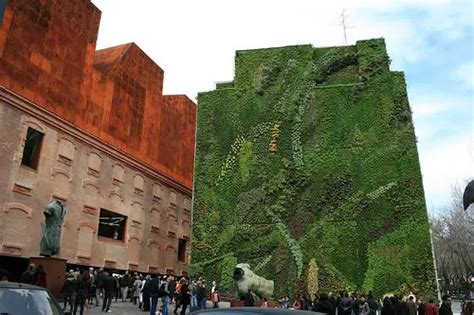 Green Vertical Garden (wall) in Madrid