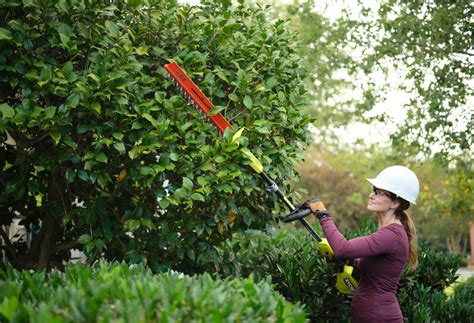 The Best Hedge Trimmer Take The Edge Off Smoothly