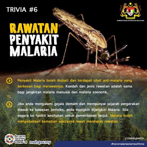 Kkmalaysia On Twitter Dalam Kebanyakan Kes Malaria Boleh Dirawat