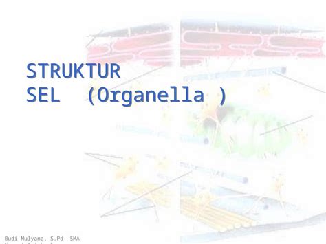Ppt Struktur Sel Organel Dokumen Tips