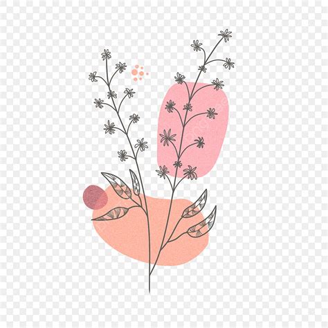 Abstract Line Art Png Picture Line Art Flower And Abstract Shape