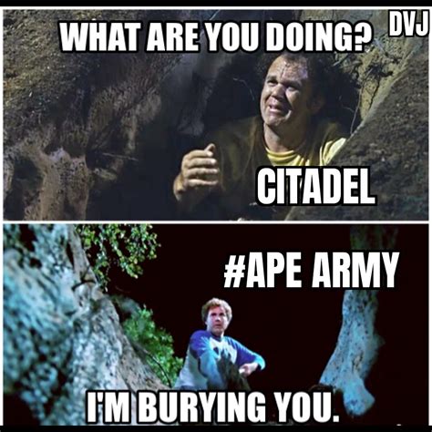 Because Fuck Em That S Why R Amcstock