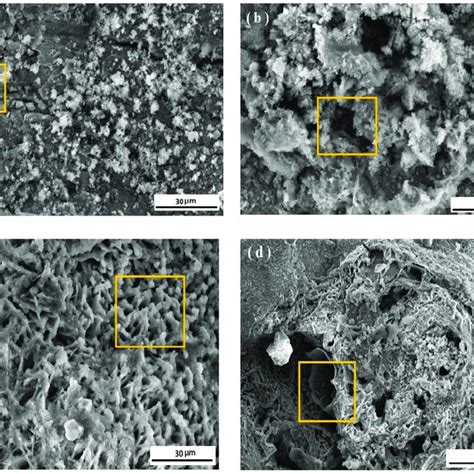 Scanning Electron Microscope Sem Micrographs Of Maraging Steel