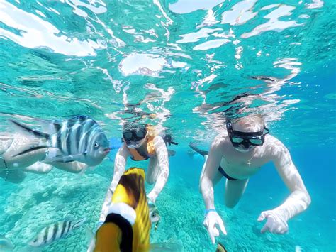 Full Day Orange Bay Snorkeling Sea Trip Adventures Egypt