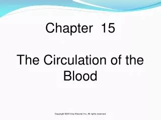 PPT Chapter 19 Blood Vessels And Circulation PowerPoint