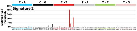 Cosmic Signatures Of Mutational Processes In Human Cancer