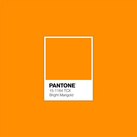 Pantone Tcx Bright Marigold Color Palette Collection