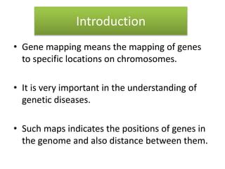 Gene mapping methods | PPT