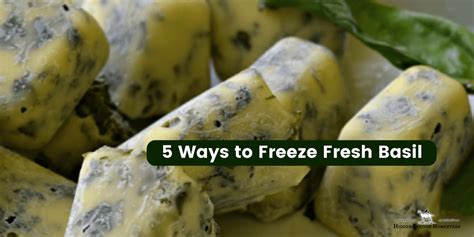 Ways To Freeze Fresh Basil For Year Round Use Hidden Springs Homestead