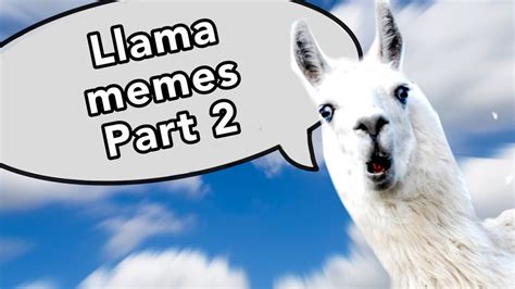 Llama Memespictures 2 Youtube