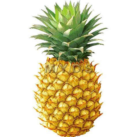 Free Pineapple Clipart Pictures Clipartix