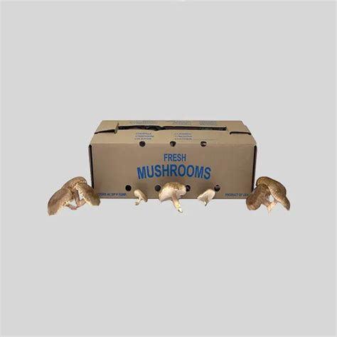 Custom Mushroom Boxes Mushroom Box Packaging