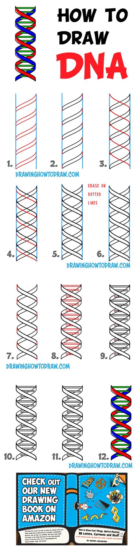 How To Draw Dna Double Helix Structure Easy Step By Step Drawing