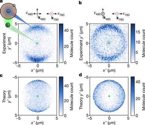 In Situ Measurements Of The Molecule A B In Situ Measurements Of The