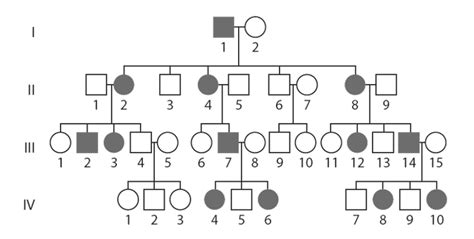 Module Heredity Beginner S Guide To Year Biology