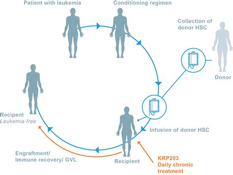 Hematopoietic Stem Cell Transplantation