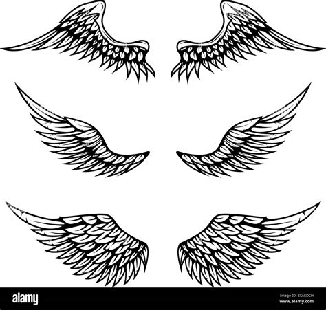 Set Of Vintage Vector Wings Isolated On White Background Design Stock Vector Image And Art Alamy