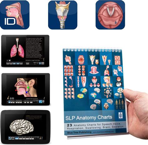 Amazon Blue Tree Publishing Swallowing Anatomy Education X