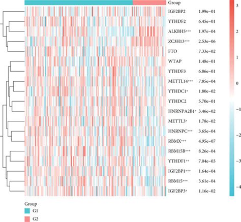 A Heat Map For High Risk And Low Risk NB Patients Using M6A Genes