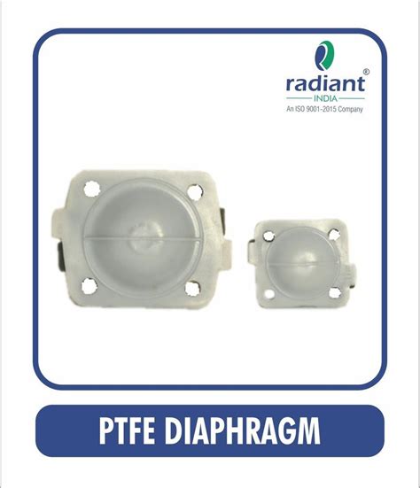 Rubber Ptfe Diaphragm Size Nb Nb To Nb At In Ahmedabad