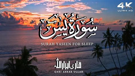 Surah Yaseen Quran For Sleep Quran Relaxing Tilawat Surah Yasin In