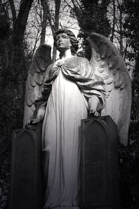 Highgate Cemetery Cemetery Statues Cemetery Art Angel Statues Old Cemeteries Graveyards