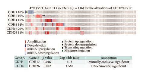 alterations  cdhs  triple negative breast cancer  alterations