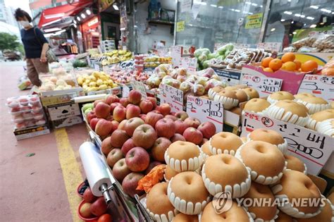 정부 명절 성수품 수급·가격 이상징후 땐 비축물량 추가방출 나무뉴스