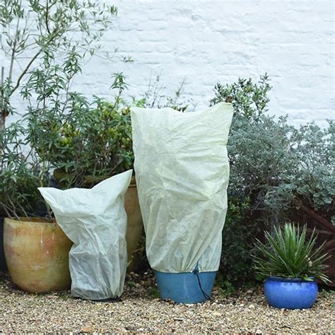 Plant Covers For The Winter At Tammy Villarreal Blog