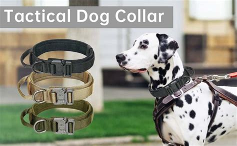 Tactical Dog Collar Military Dog Collar With Handle