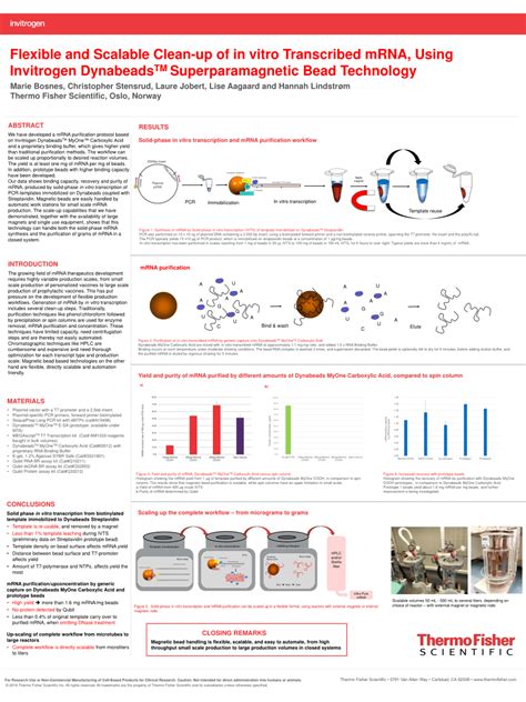 Pdf Flexible And Scalable Clean Up Of In Vitro Transcribed Mrna