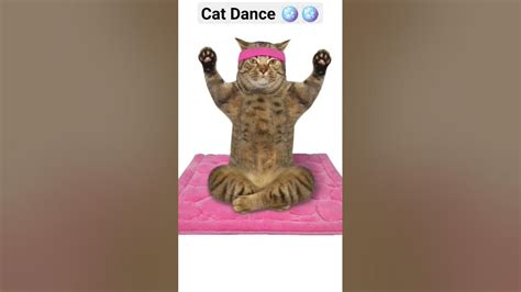 Cat Dance 🪩🪩 Trending Viral Shorts Video Yiutube Short Funny Youtube