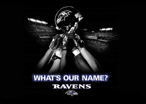 Baltimore Ravens 1080p 2k 4k 5k Hd Wallpapers Free Download