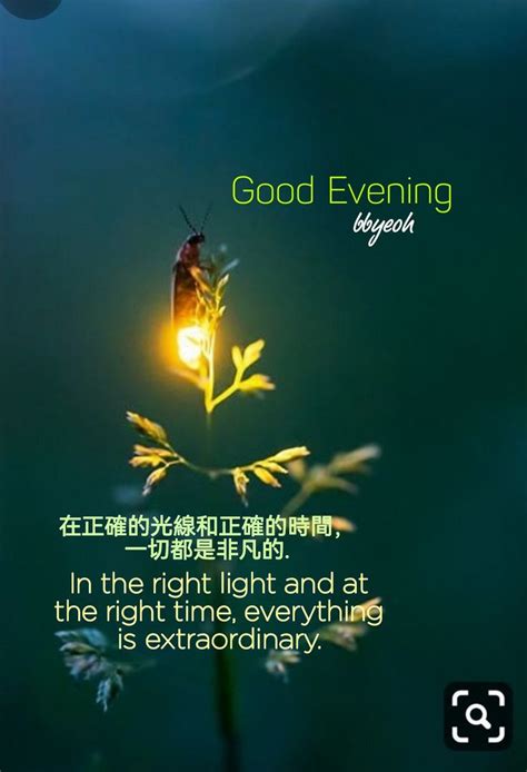 An Image Of A Flower With The Words Good Evening Written In English And