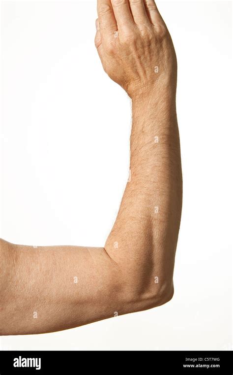 An Adult Male Human Arm With Elbow Joint Stock Photo Alamy