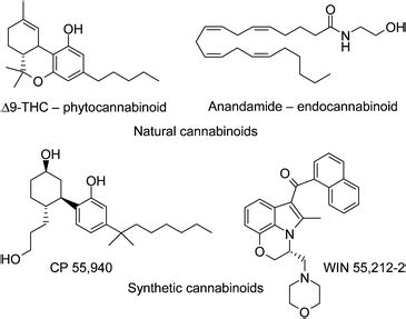 Cannabinoid receptor agonists