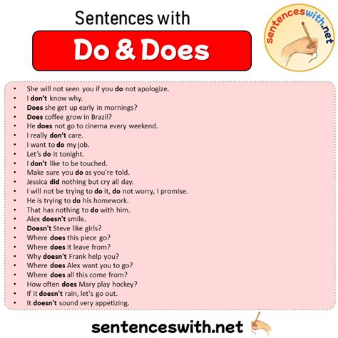 Sentences With Do And Does Sentences About Do And Does In English