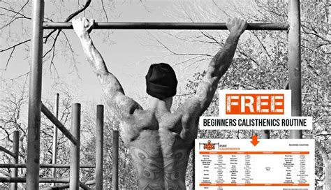 Calisthenics Workout Program For Beginners - Infoupdate.org