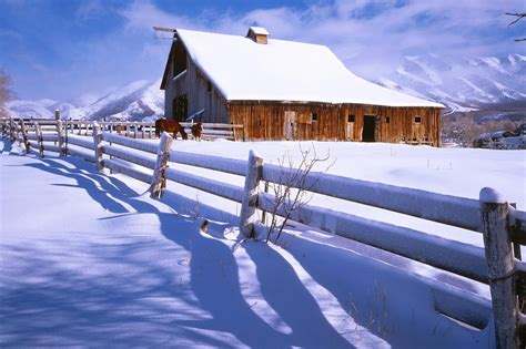 Wallpaper Fence Snow Horses Farm 2000x1333 742684 Hd