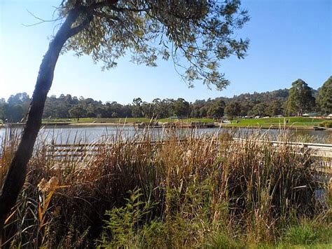 Tracks Trails And Coasts Near Melbourne Lilydale Lake Wetland