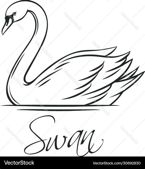 Swan Outline