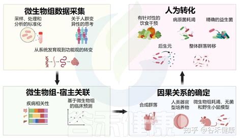 谷禾杂谈 人类微生物组研究解析挑战与前景 知乎