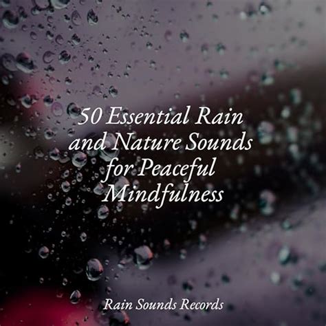 Play 50 Essential Rain And Nature Sounds For Peaceful Mindfulness By