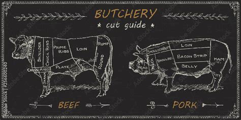 Butchers meat cuts chart engraved diagram Stock Vector | Adobe Stock