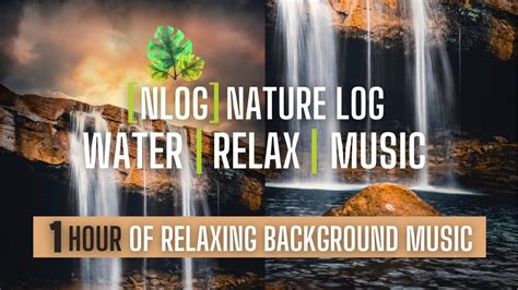 1 Hour Relax Music ★ Relaxing Nature Sounds ★ Water Sounds ★ Bird