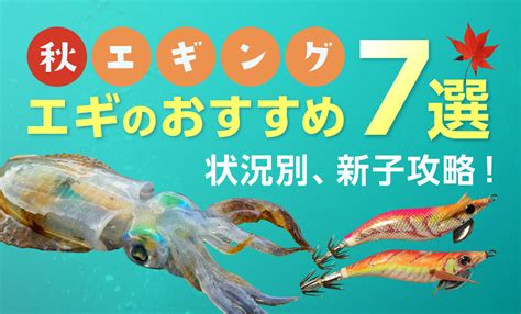 業界 氷 イーウェル アオリイカ エギ おすすめ 圧倒的 他に 資格情報