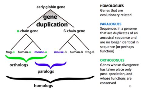 Week 2 DNA Prep And Bioinformatics Flashcards Quizlet