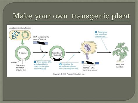 Ppt Biotechnology Powerpoint Presentation Free Download Id2665020