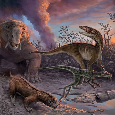 Los Jóvenes Abuelos De Los Dinosaurios Nexcienciaexactasubaar